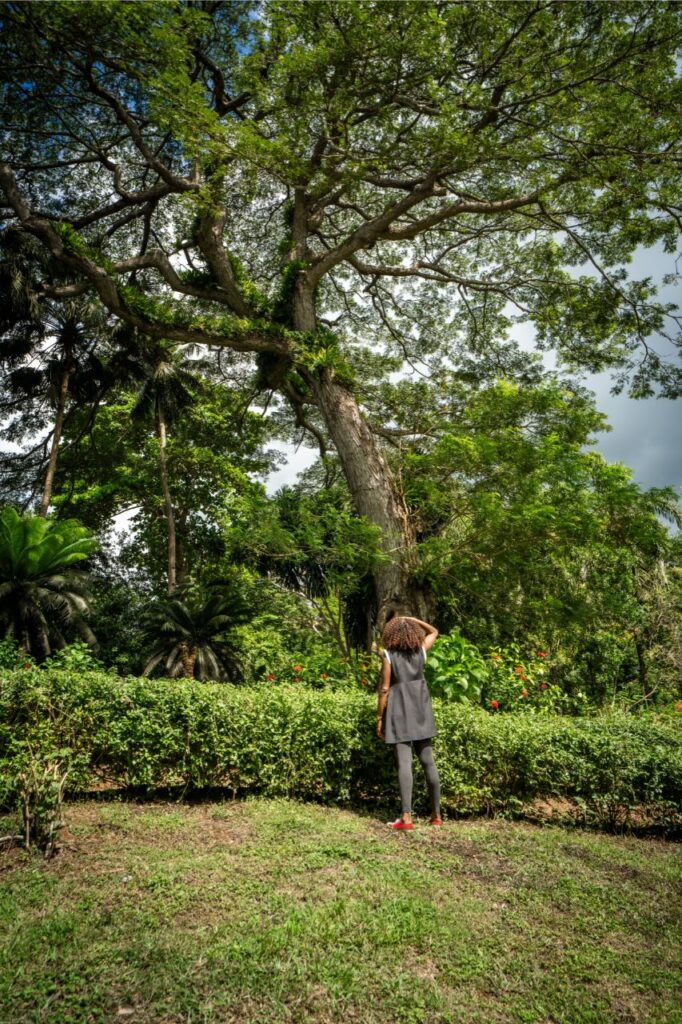 trio-jardin-botanique-3