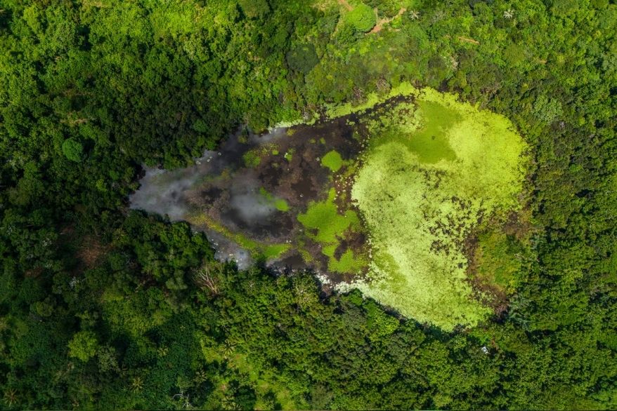 trio-jardins-et-lacs-1