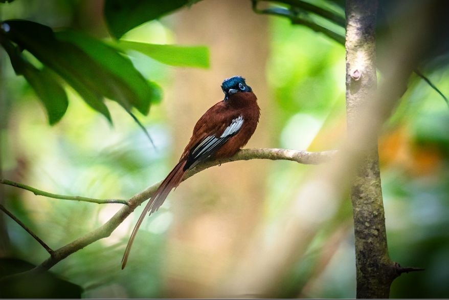 trio-jardins-et-lacs-2