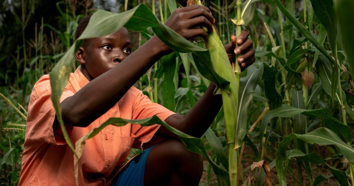 medium-shot-kid-working-cornfield (1) medium-shot-kid-working-cornfield (1)
